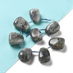 Natural Labradorite Beads Strands&nbsp;G-P528-E10-01