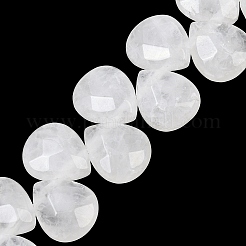 Natural Quartz Crystal Beads Strands&nbsp;G-T006-15