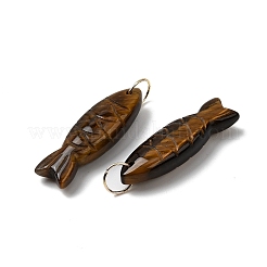 Natural Tiger Eye Carved Pendants&nbsp;G-G314-01G-02