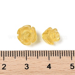 Transparent Glass Beads&nbsp;G-O156-A-28