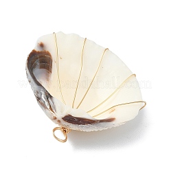 Natural Clam Shell Copper Wire Wrapped Pendants&nbsp;PALLOY-JF02056-02