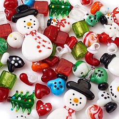 Handmade Lampwork Beads&nbsp;LAMP-TA0002-02