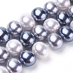 Shell Pearl Beads Strands&nbsp;BSHE-L035-E04