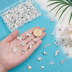 6 Sets Alloy Pendants Kits&nbsp;FIND-PH0059-58