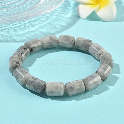Column Natural Labradorite Beads Stretch Bracelets for Women Men&nbsp;BJEW-A148-01A-24