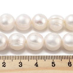 Natural Cultured Freshwater Pearl Beads Strands&nbsp;PEAR-C003-21C