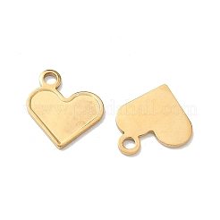304 Stainless Steel Charms&nbsp;STAS-Z184-18G