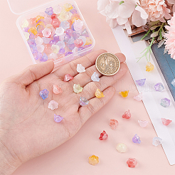 100Pcs 10 Colors Transparent Two Tone Spray Painted Glass Beads&nbsp;GLAA-ME0001-02