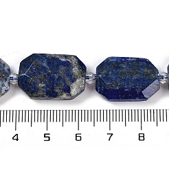Natural Lapis Lazuli Beads Strands&nbsp;G-B125-P11-01