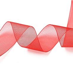 Sheer Organza Ribbon&nbsp;RS25mmY026