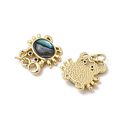 Brass Micro Pave Cubic Zirconia Charms&nbsp;KK-K384-24A-G