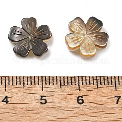 Natural Black Shell Carved Beads&nbsp;SSHEL-Z002-02B