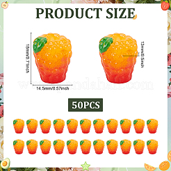 Resin Orange Display Decorations&nbsp;DJEW-ME0001-03B