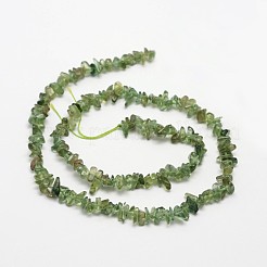 Chips Natural Green Apatite Beads Strands&nbsp;G-N0164-26