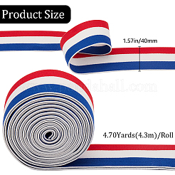 4.7 Yards Flat Nylon Striped Elastic Band&nbsp;OCOR-GF0003-84C