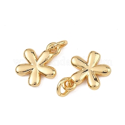 SHEGRACE Brass Pendants&nbsp;XGRQ3P140-578G