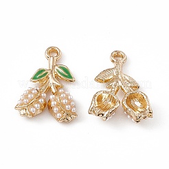 Alloy Enamel Pendants&nbsp;ENAM-K066-06G