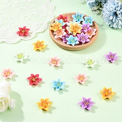 30Pcs 6 Colors Opaque Resin Pendants&nbsp;CRES-YW0002-84