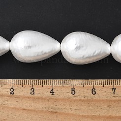 Electroplated Shell Pearl Beads Strands&nbsp;BSHE-F013-13-02