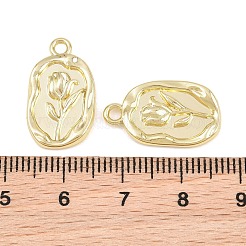 Alloy Pendants&nbsp;AL-CBA415D-21G