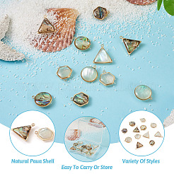 12Pcs 6 Styles Natural Shell Pendant Sets&nbsp;SHEL-CD0001-03