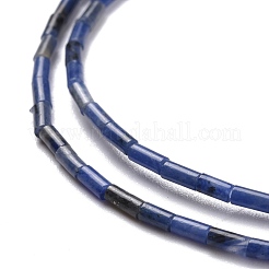 Natural Sodalite Beads Strands&nbsp;G-M389-11