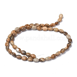 Natural Picture Jasper Beads Strands&nbsp;G-Z006-A02