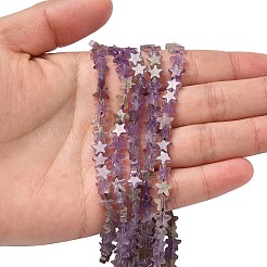 Natural Amethyst Beads Strands&nbsp;G-F817-A15-01