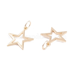 Rack Plating Brass Pendants&nbsp;LS-KK-F827-08G