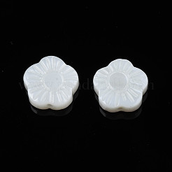 Natural Freshwater Shell Beads&nbsp;SHEL-N026-184