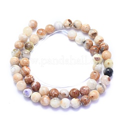 Natural Purple Opal Beads Strands&nbsp;G-K310-C16-8mm