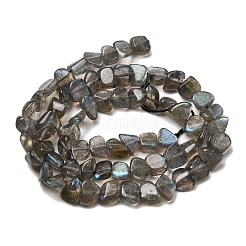 Natural Labradorite Beads Strands&nbsp;G-A279-A01-01