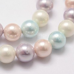 Shell Pearl Bead Strands&nbsp;X-BSHE-L017-10
