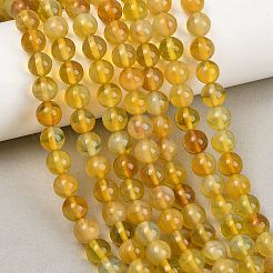 Handmade Lampwork Beads Strand&nbsp;LAMP-B056-8mm