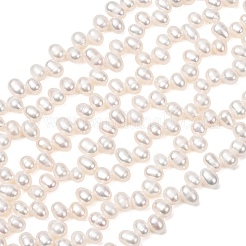 Natural Cultured Freshwater Pearl Beads Strands&nbsp;PA-CBABE82-03C