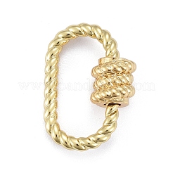 Brass Screw Carabiner Lock Charms&nbsp;ZIRC-E164-09G