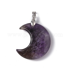 Natural Amethyst Pendants&nbsp;G-Z022-04C