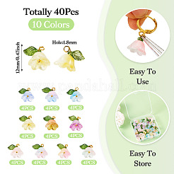 44Pcs 10 Colors Glass & Acrylic Pendant&nbsp;PALLOY-TA00129