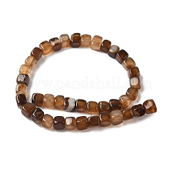 Natural Dragon Veins Agate Beads Strands&nbsp;G-G177-E07-05