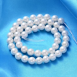 Shell Pearl Beads Strands&nbsp;SP8MM701