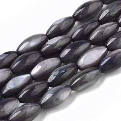 Natural Freshwater Shell Beads&nbsp;SHEL-R047-02