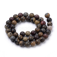 Natural Dendritic Jasper Beads Strands&nbsp;X-G-S259-10-8mm