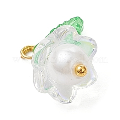 Glass Pendants&nbsp;PALLOY-MZ00837-04