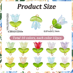 100Pcs 10 Colors Handmade Transparent Lampwork & Acrylic Pendants&nbsp;OACR-BM0001-04