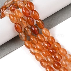 Natural Red Agate Beads Strands&nbsp;G-NH0030-01A
