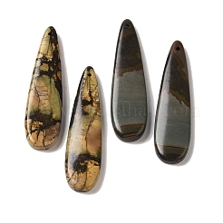 Natural Picasso Jasper Pendants&nbsp;G-Q161-08A