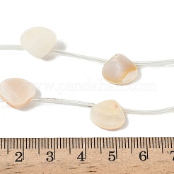 Natural Freshwater Shell Beads Strands&nbsp;SHEL-K006-52B