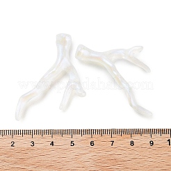 Acrylic Pendant&nbsp;OACR-H116-01