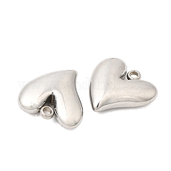 304 Stainless Steel Charms&nbsp;STAS-P441-02P