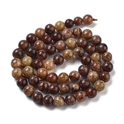 Natural Gemstone Beads Strands&nbsp;G-H045-A01-10MM